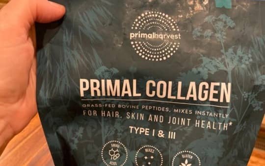 holding primal harvest collagen powder