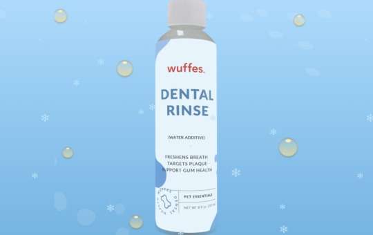 dental rinse - wuffes
