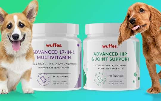 wuffes dog products work and worth it