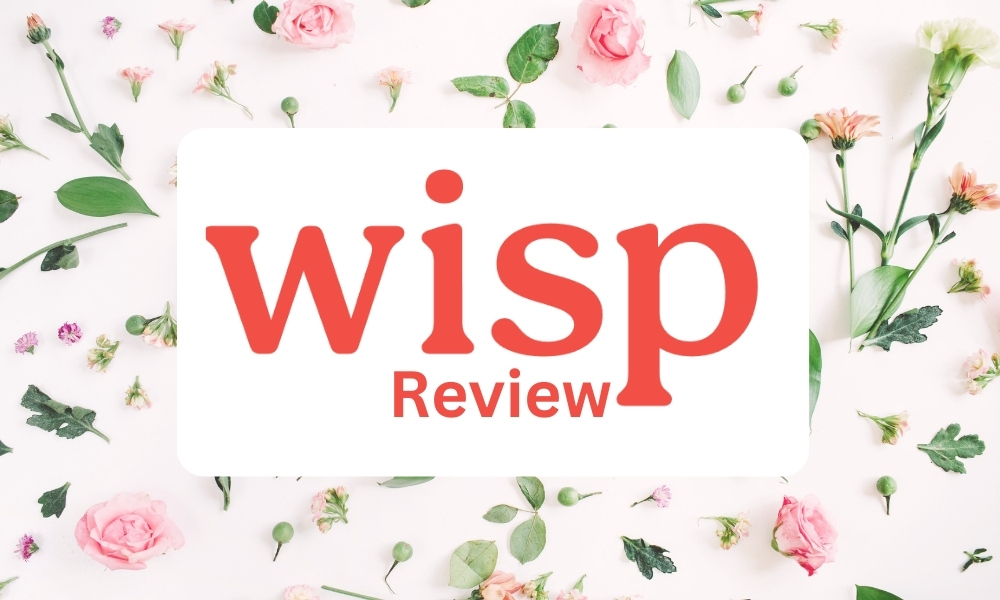 review image for hello wisp
